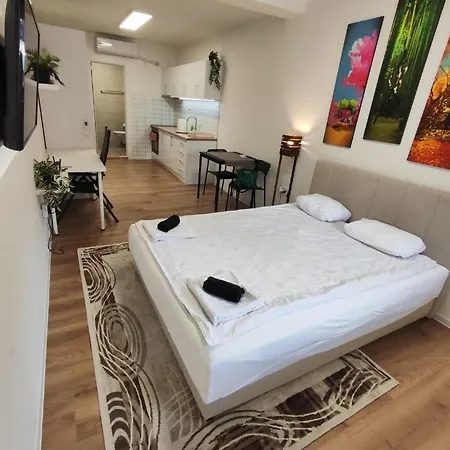 Zone Zarkovo Apartment